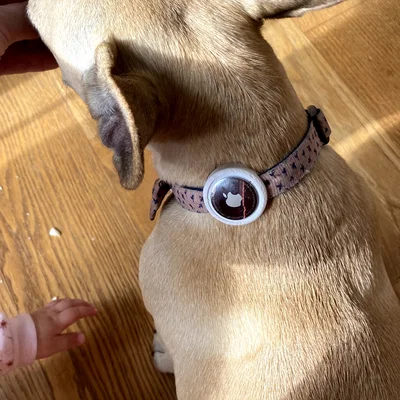 Kẹp gắn AirTag cho vòng cổ thú cưng (mỏng gọn nhất)