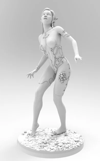 Tiên elf đến từ Pidbuzh - Image 2