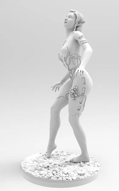 Tiên elf đến từ Pidbuzh - Image 4