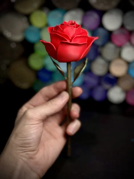 Hoa Hồng (Rose) - Image 1