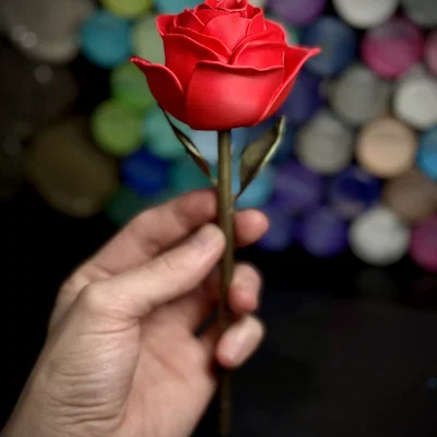 Hoa Hồng (Rose)