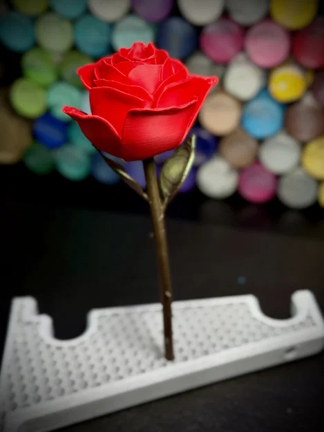 Hoa Hồng (Rose) - Image 2