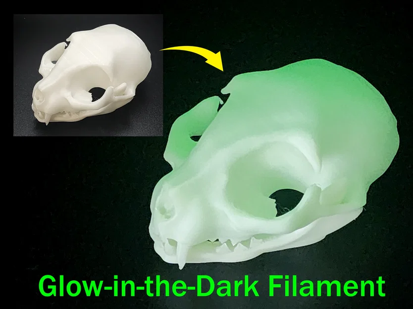 Hộp Sọ Mèo - Dễ In (Tương Đối) | Cat Skull - Easy(ish) Print - Image 3