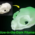 Hộp Sọ Mèo - Dễ In (Tương Đối) | Cat Skull - Easy(ish) Print - Thumbnail 3