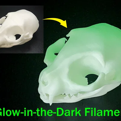 Hộp Sọ Mèo - Dễ In (Tương Đối) | Cat Skull - Easy(ish) Print
