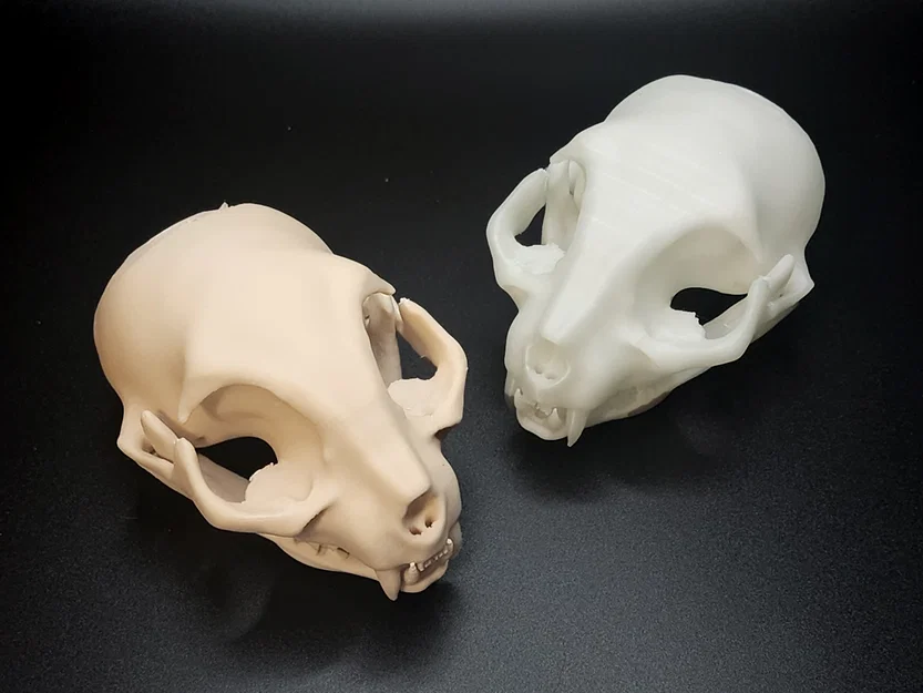 Hộp Sọ Mèo - Dễ In (Tương Đối) | Cat Skull - Easy(ish) Print - Image 4