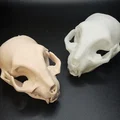 Hộp Sọ Mèo - Dễ In (Tương Đối) | Cat Skull - Easy(ish) Print - Thumbnail 4