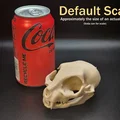 Hộp Sọ Mèo - Dễ In (Tương Đối) | Cat Skull - Easy(ish) Print - Thumbnail 5