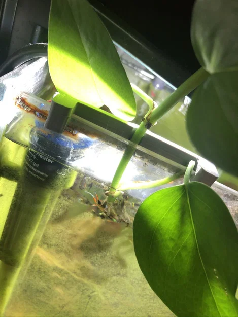 Kẹp Giữ Cây Pothos Cho Hồ Cá (Propagate) – Pothos Aquarium Plant Holder - Image 2