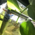 Kẹp Giữ Cây Pothos Cho Hồ Cá (Propagate) – Pothos Aquarium Plant Holder - Thumbnail 2