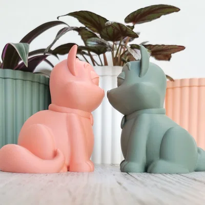 Mèo / cáo blasé – Funny cat fox