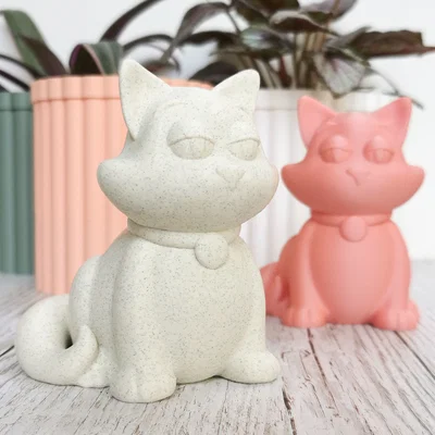 Mèo / cáo blasé – Funny cat fox