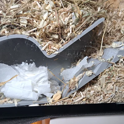 Mẫu Nhà Ẩn Nấp Cho Hamster (Hamster Hideout) Dễ In 3D