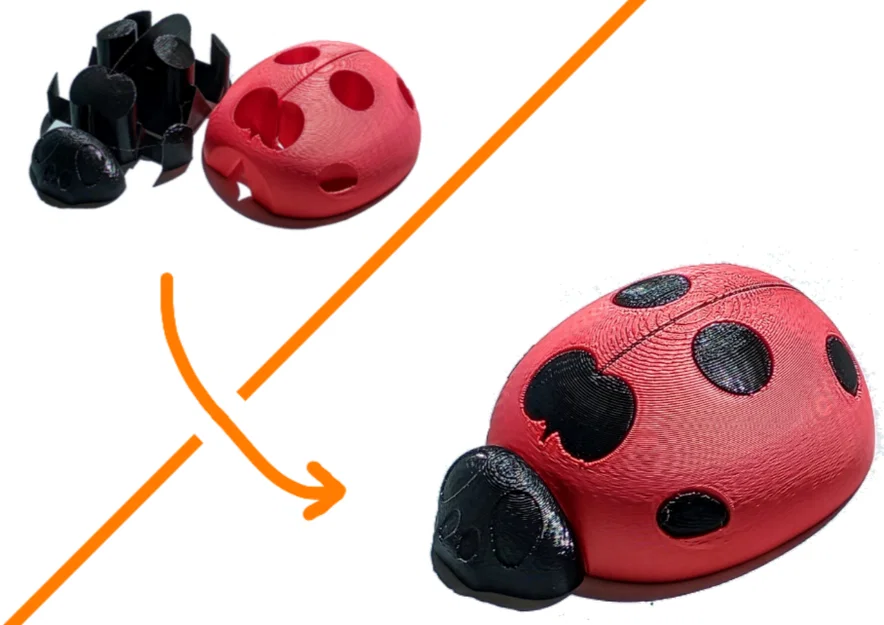 Mô hình bọ rùa hai màu (Lady Bug) in 3D cực dễ thương - Image 1