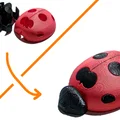 Mô hình bọ rùa hai màu (Lady Bug) in 3D cực dễ thương - Thumbnail 1