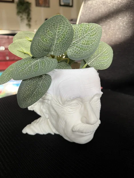 Chậu Trồng Cây Einstein (Einstein Planter) - Image 1