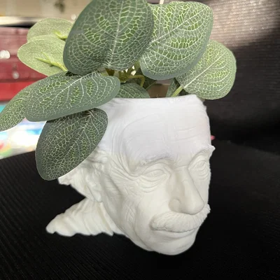Chậu Trồng Cây Einstein (Einstein Planter)