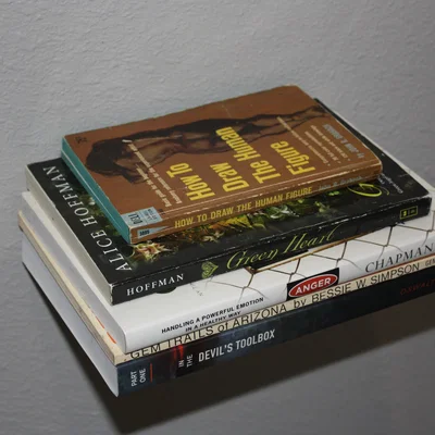 Kệ Sách Treo Tường Ẩn (Floating) / Kệ Nhỏ Đơn Giản