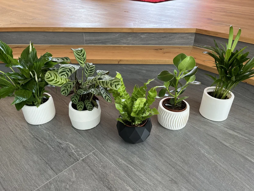 Bộ sưu tập 6 mẫu chậu cây 3D hiện đại cho chậu 12cm - Image 1