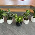Bộ sưu tập 6 mẫu chậu cây 3D hiện đại cho chậu 12cm - Thumbnail 1