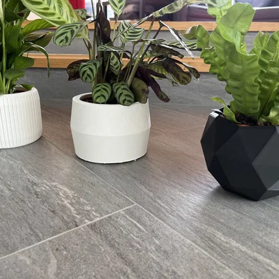 Bộ sưu tập 6 mẫu chậu cây 3D hiện đại cho chậu 12cm