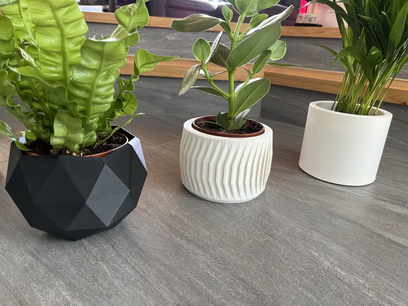 Bộ sưu tập 6 mẫu chậu cây 3D hiện đại cho chậu 12cm - Image 3