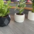 Bộ sưu tập 6 mẫu chậu cây 3D hiện đại cho chậu 12cm - Thumbnail 3
