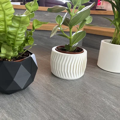 Bộ sưu tập 6 mẫu chậu cây 3D hiện đại cho chậu 12cm