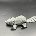 Gia đình Flexy Beaver!!! 4 phiên bản! Print in Place!!! - Thumbnail 1