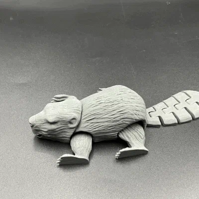 Gia đình Flexy Beaver!!! 4 phiên bản! Print in Place!!!