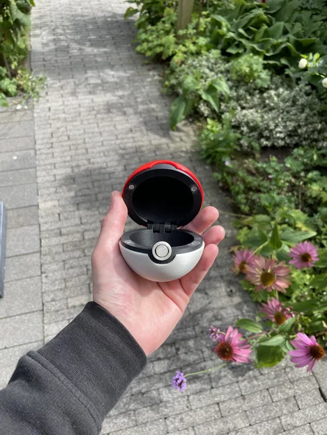 Pokeball Kích Thước Thật (Lifesize Pokeball!) - Image 2