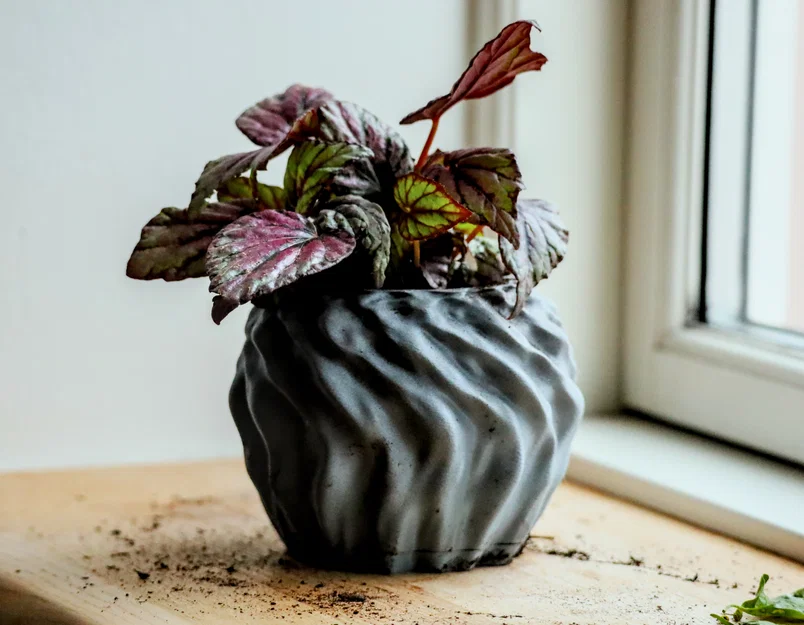 Pot 14 - Chậu đơn giản kèm khay hứng nước - Image 1