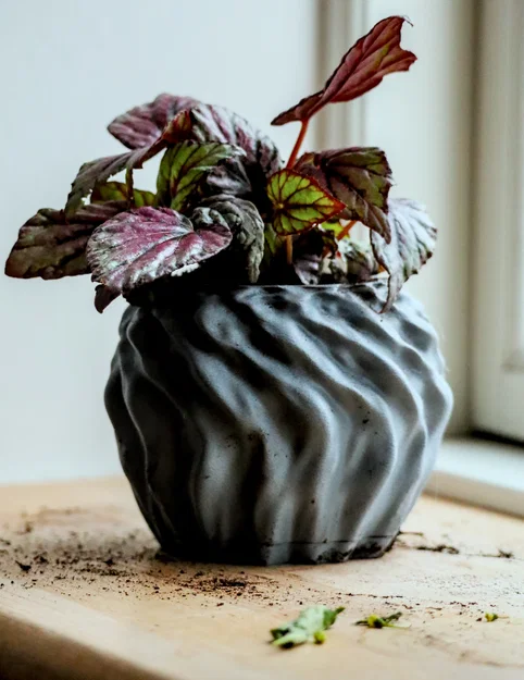 Pot 14 - Chậu đơn giản kèm khay hứng nước - Image 2