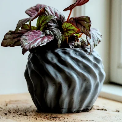 Pot 14 - Chậu đơn giản kèm khay hứng nước