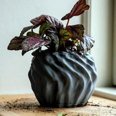 Pot 14 - Chậu đơn giản kèm khay hứng nước