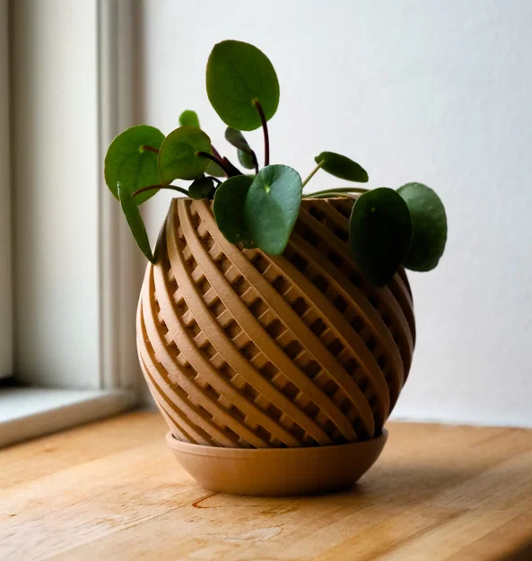 Chậu cây trang trí Pot 11 họa tiết xoắn ốc tinh tế kèm khay hứng nước - Image 1