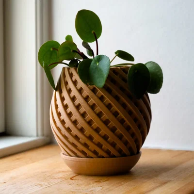 Chậu cây trang trí Pot 11 họa tiết xoắn ốc tinh tế kèm khay hứng nước