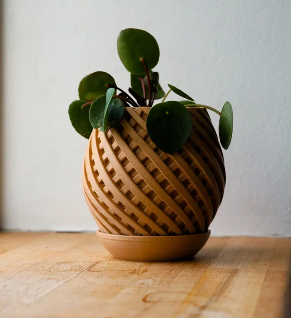 Chậu cây trang trí Pot 11 họa tiết xoắn ốc tinh tế kèm khay hứng nước - Image 2
