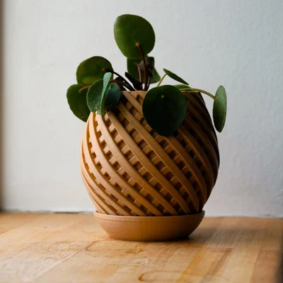 Chậu cây trang trí Pot 11 họa tiết xoắn ốc tinh tế kèm khay hứng nước