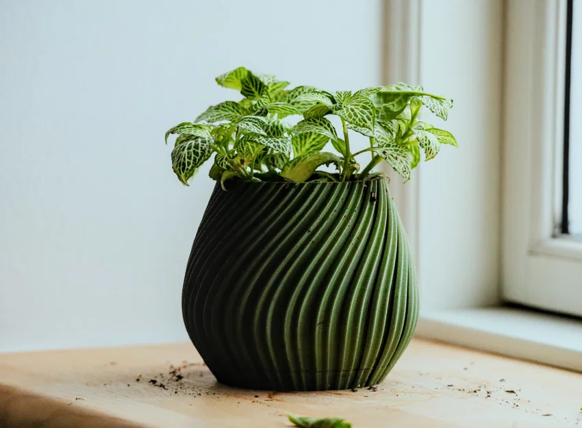 Chậu cây để bàn Pot 17 - Thiết kế xoắn ốc độc đáo in 3D - Image 1