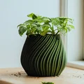 Chậu cây để bàn Pot 17 - Thiết kế xoắn ốc độc đáo in 3D - Thumbnail 1
