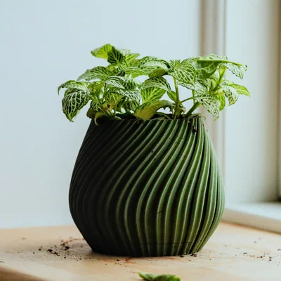 Chậu cây để bàn Pot 17 - Thiết kế xoắn ốc độc đáo in 3D