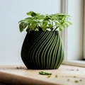 Chậu cây để bàn Pot 17 - Thiết kế xoắn ốc độc đáo in 3D - Thumbnail 2