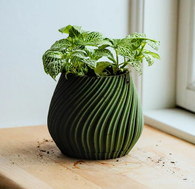 Chậu cây để bàn Pot 17 - Thiết kế xoắn ốc độc đáo in 3D - Image 3