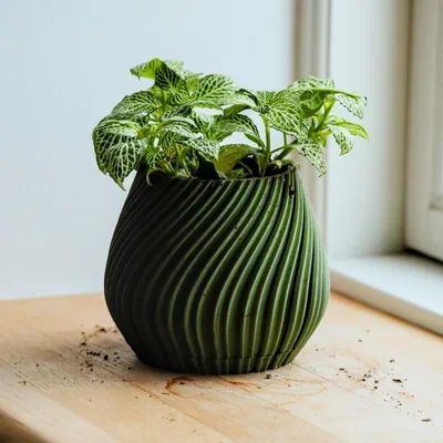 Chậu cây để bàn Pot 17 - Thiết kế xoắn ốc độc đáo in 3D