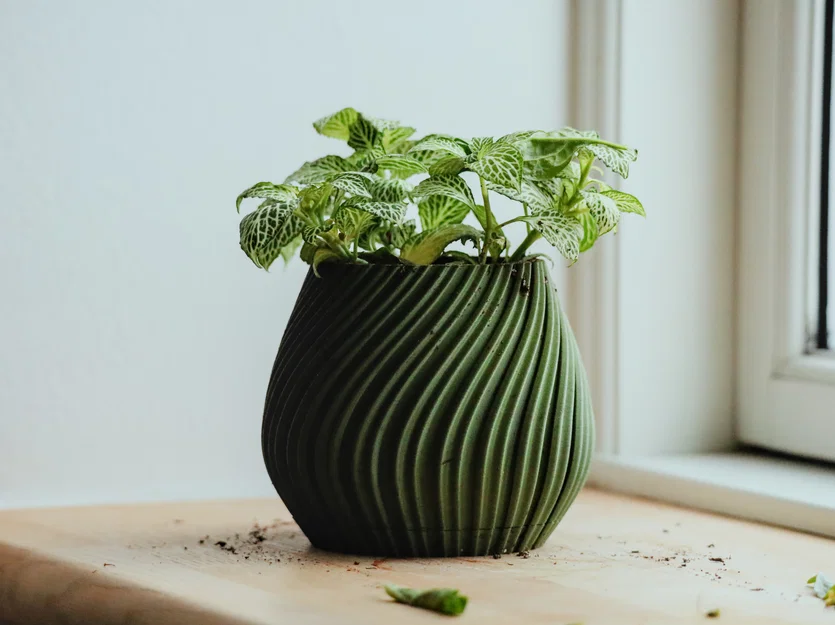 Chậu cây để bàn Pot 17 - Thiết kế xoắn ốc độc đáo in 3D - Image 4