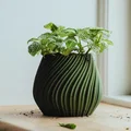Chậu cây để bàn Pot 17 - Thiết kế xoắn ốc độc đáo in 3D - Thumbnail 4
