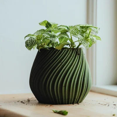 Chậu cây để bàn Pot 17 - Thiết kế xoắn ốc độc đáo in 3D