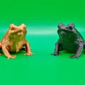 Mô hình ếch Low-Poly trang trí 3D in không cần support - Thumbnail 2