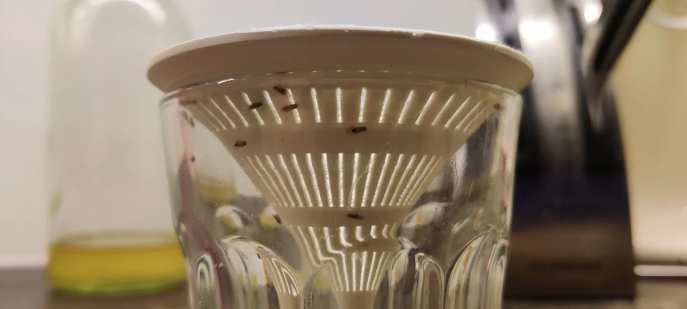 Bẫy ruồi giấm 3D: Giải pháp đuổi ruồi hiệu quả, an toàn cho gian bếp - Image 2